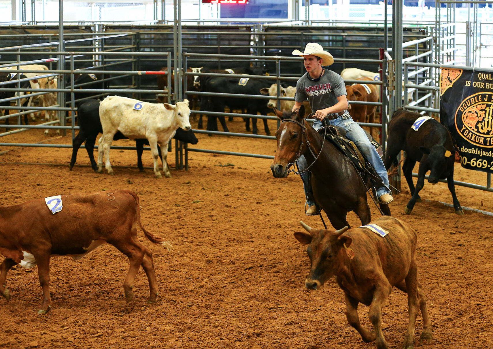 Ranch Sorting of America